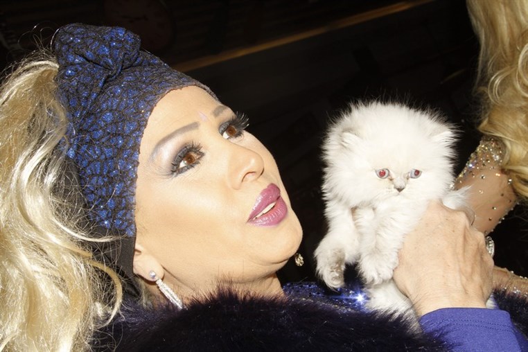 Myriam Klink Launching of Her 1st Album